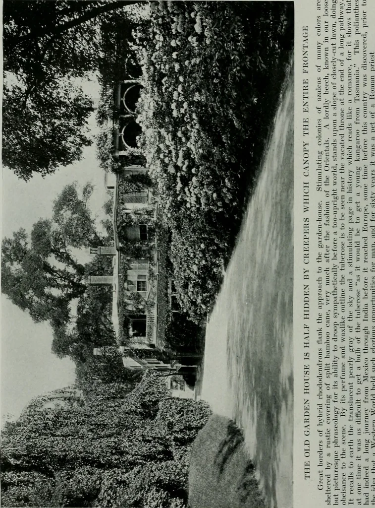 An illustration from American country houses of to-day; an illustrated account of some excellent houses built and gardens planted during the last few years, showing unmistakable influence of the modern trend in ideals architectural, 1915, leaf 359