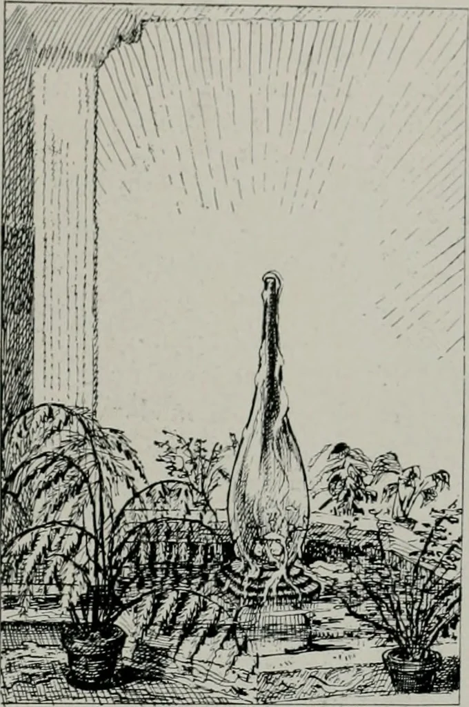 An illustration from American country houses of to-day; an illustrated account of some excellent houses built and gardens planted during the last few years, showing unmistakable influence of the modern trend in ideals architectural, 1915, leaf 412