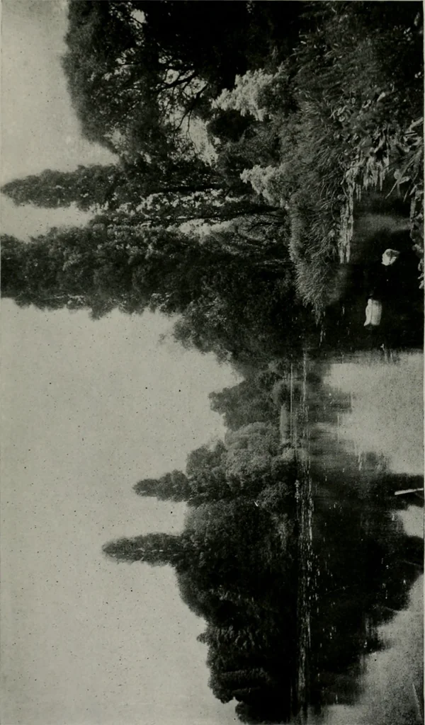 An illustration from American country houses of to-day; an illustrated account of some excellent houses built and gardens planted during the last few years, showing unmistakable influence of the modern trend in ideals architectural, 1915, leaf 422