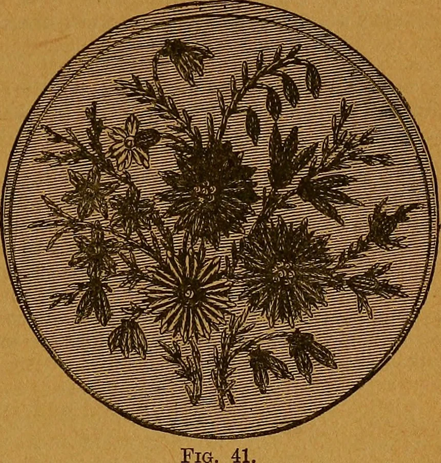 An illustration from The American domestic cyclopædia, a volume of universal ready reference for American women in American homes, 1890, leaf 110