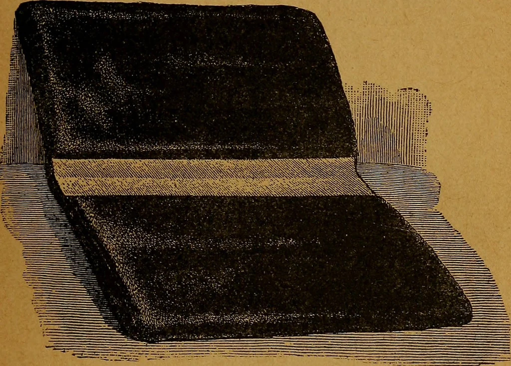 An illustration from The American domestic cyclopædia, a volume of universal ready reference for American women in American homes, 1890, leaf 14