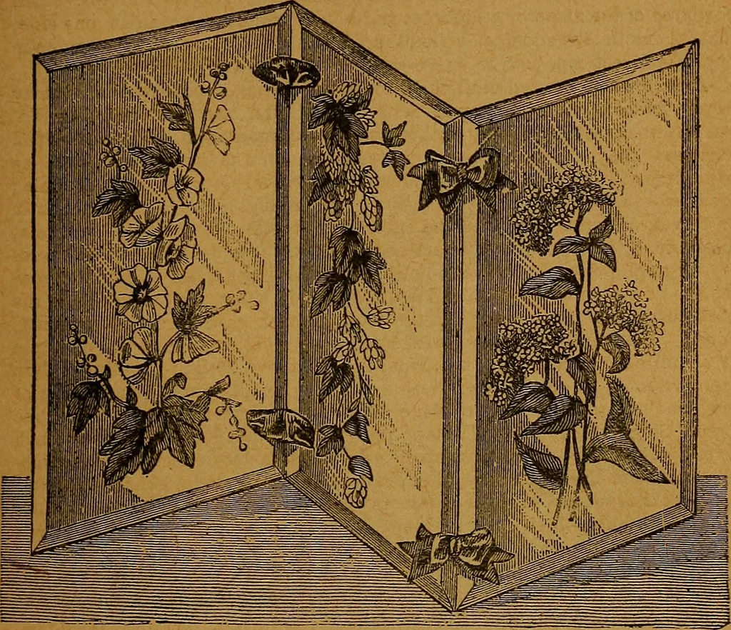 An illustration from The American domestic cyclopædia, a volume of universal ready reference for American women in American homes, 1890, leaf 20