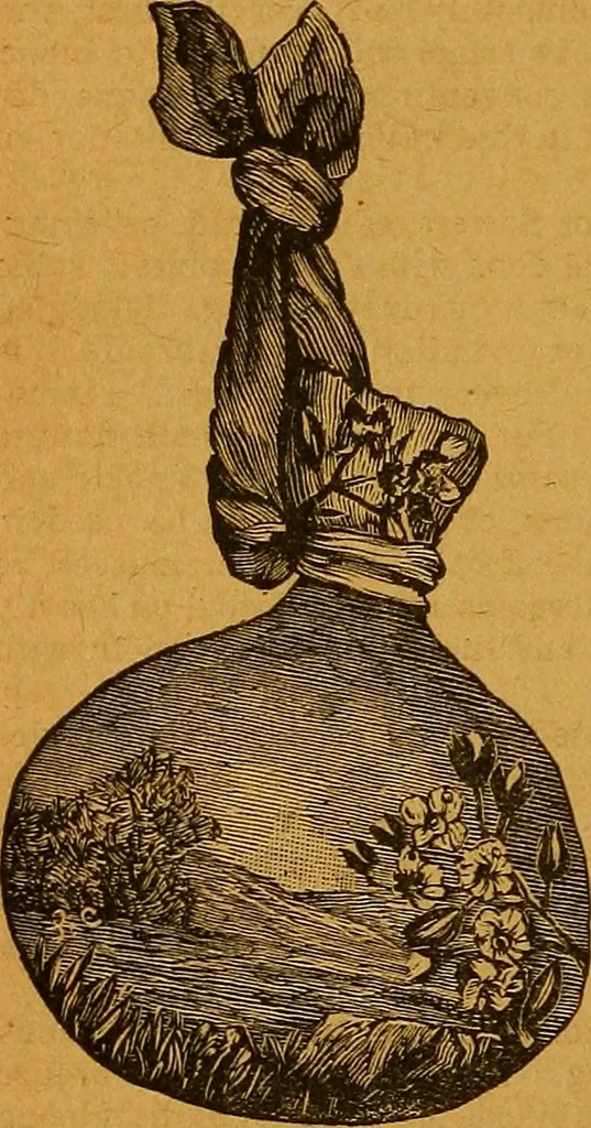 An illustration from The American domestic cyclopædia, a volume of universal ready reference for American women in American homes, 1890, leaf 223
