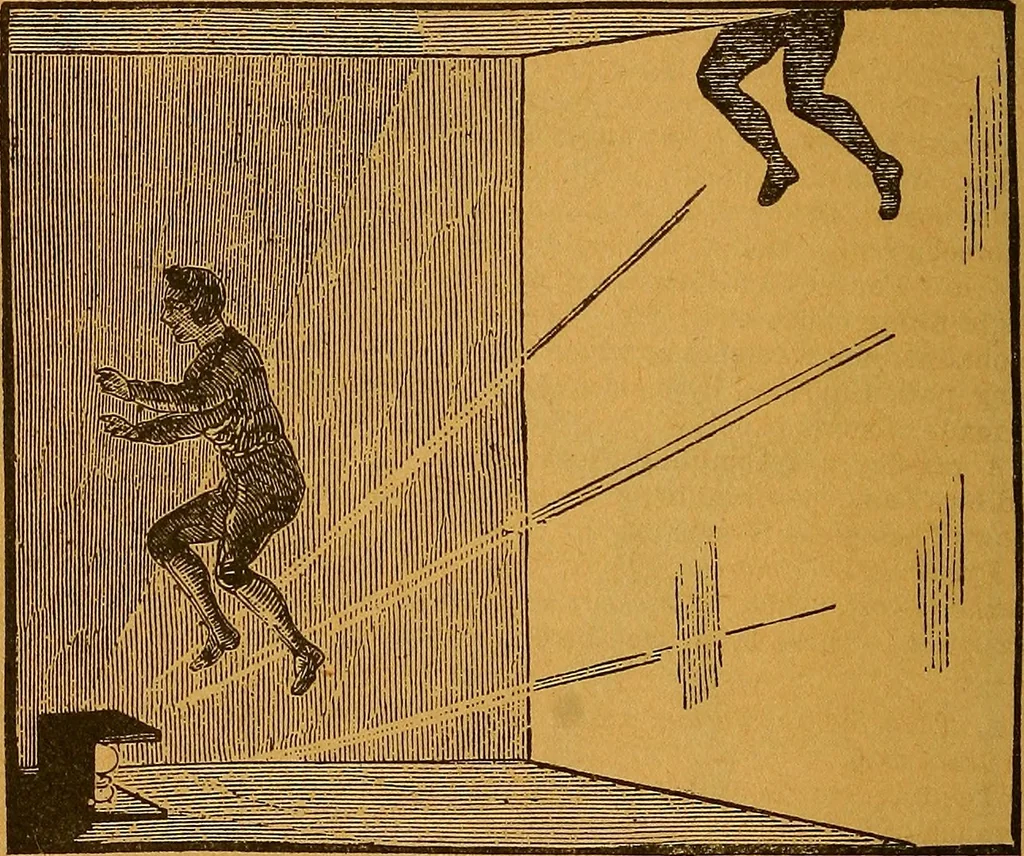 An illustration from The American domestic cyclopædia, a volume of universal ready reference for American women in American homes, 1890, leaf 247