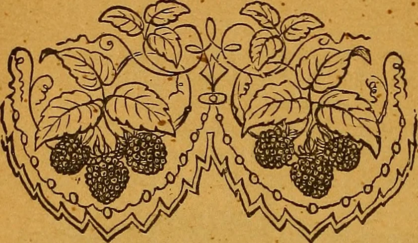 An illustration from The American domestic cyclopædia, a volume of universal ready reference for American women in American homes, 1890, leaf 351
