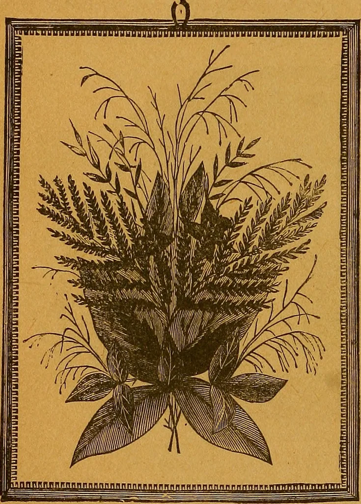 An illustration from The American domestic cyclopædia, a volume of universal ready reference for American women in American homes, 1890, leaf 369
