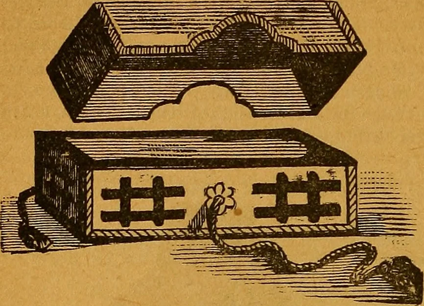 An illustration from The American domestic cyclopædia, a volume of universal ready reference for American women in American homes, 1890, leaf 371