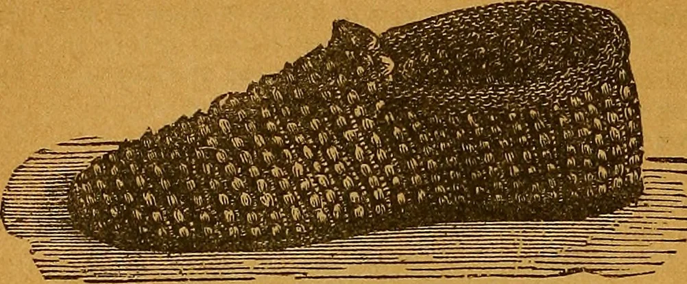 An illustration from The American domestic cyclopædia, a volume of universal ready reference for American women in American homes, 1890, leaf 377