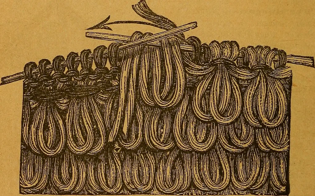 An illustration from The American domestic cyclopædia, a volume of universal ready reference for American women in American homes, 1890, leaf 377