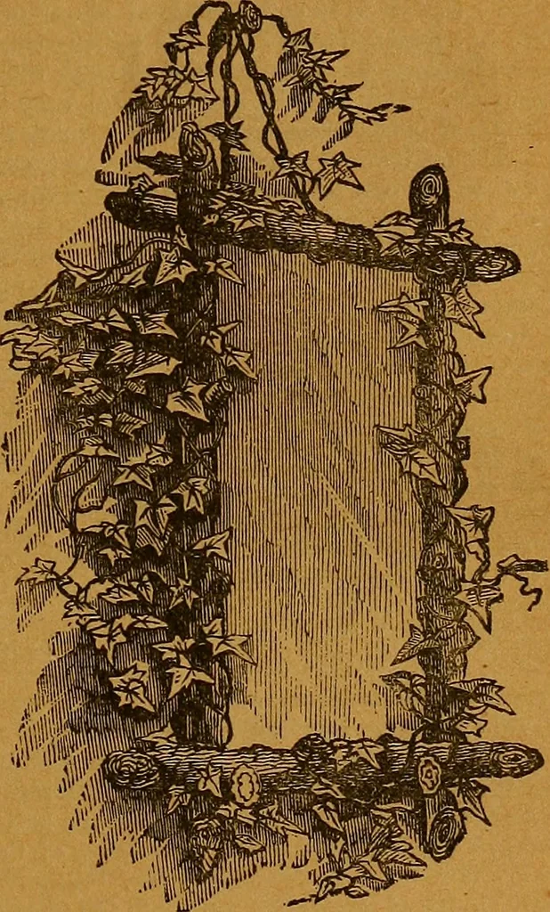 An illustration from The American domestic cyclopædia, a volume of universal ready reference for American women in American homes, 1890, leaf 382