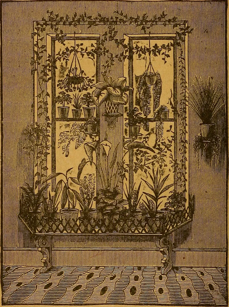 An illustration from The American domestic cyclopædia, a volume of universal ready reference for American women in American homes, 1890, leaf 385