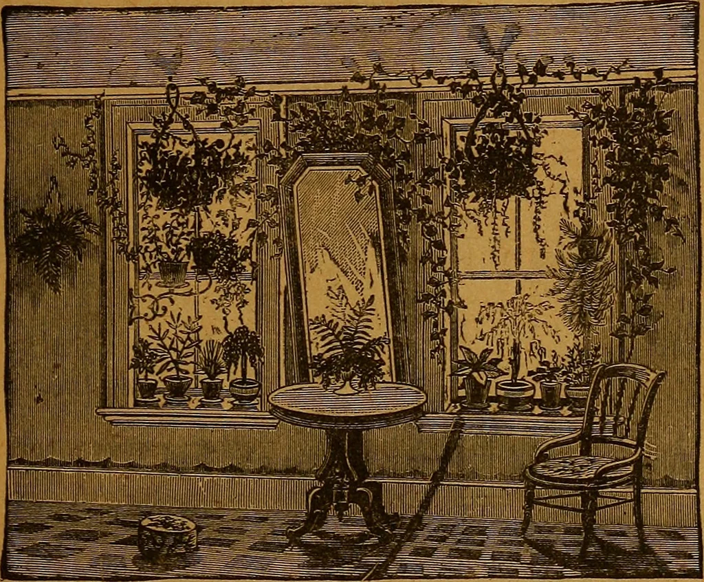 An illustration from The American domestic cyclopædia, a volume of universal ready reference for American women in American homes, 1890, leaf 386