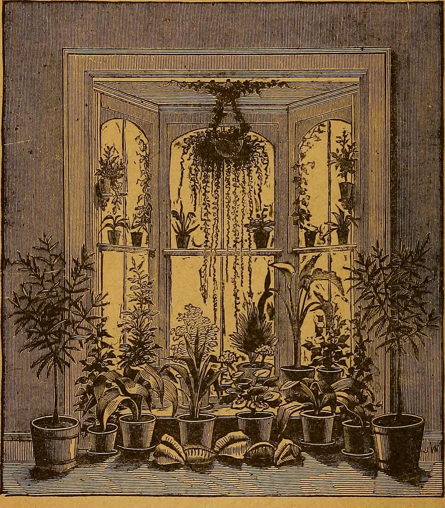 An illustration from The American domestic cyclopædia, a volume of universal ready reference for American women in American homes, 1890, leaf 387