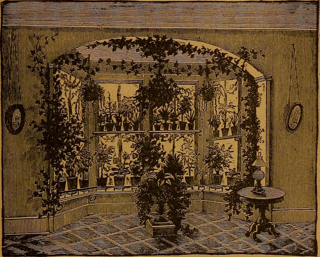 An illustration from The American domestic cyclopædia, a volume of universal ready reference for American women in American homes, 1890, leaf 388