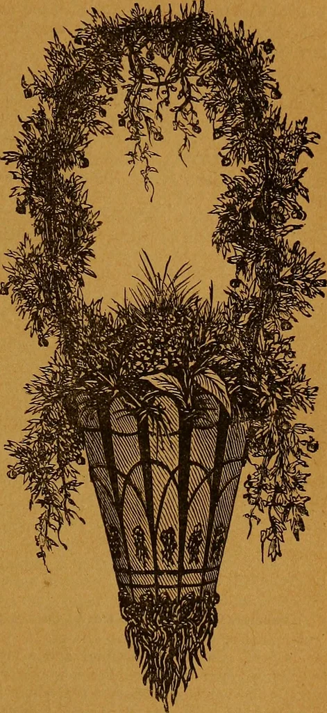 An illustration from The American domestic cyclopædia, a volume of universal ready reference for American women in American homes, 1890, leaf 392