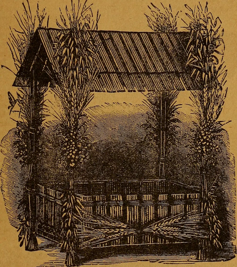 An illustration from The American domestic cyclopædia, a volume of universal ready reference for American women in American homes, 1890, leaf 396