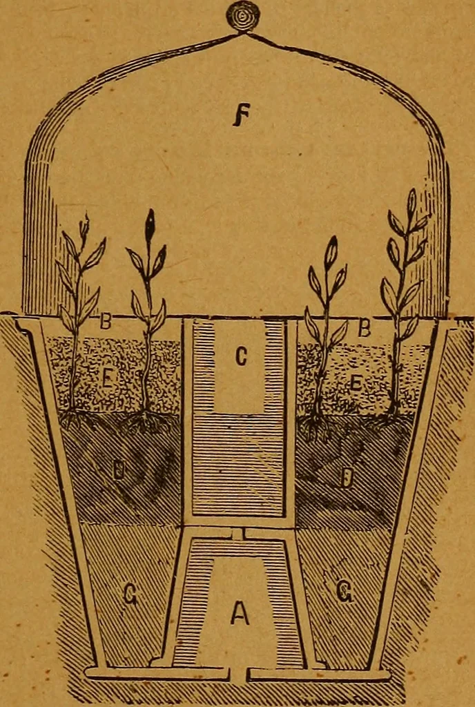 An illustration from The American domestic cyclopædia, a volume of universal ready reference for American women in American homes, 1890, leaf 398