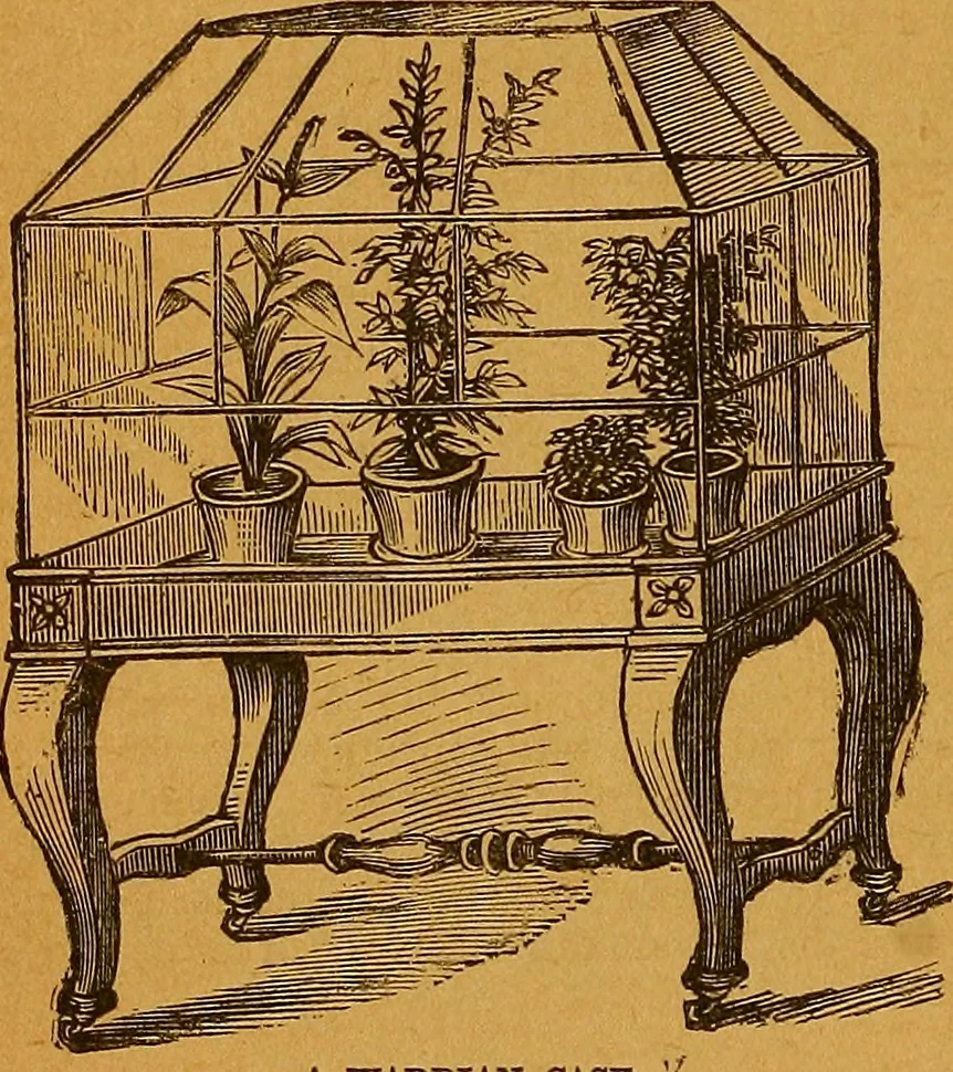 An illustration from The American domestic cyclopædia, a volume of universal ready reference for American women in American homes, 1890, leaf 405