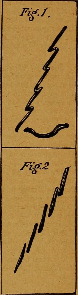 An illustration from The American domestic cyclopædia, a volume of universal ready reference for American women in American homes, 1890, leaf 82