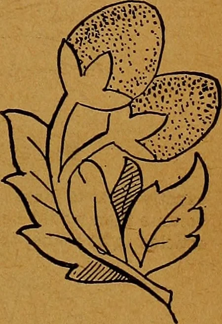 An illustration from The American domestic cyclopædia, a volume of universal ready reference for American women in American homes, 1890, leaf 86