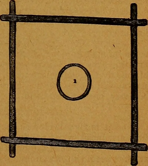 An illustration from The American domestic cyclopædia, a volume of universal ready reference for American women in American homes, 1890, leaf 92