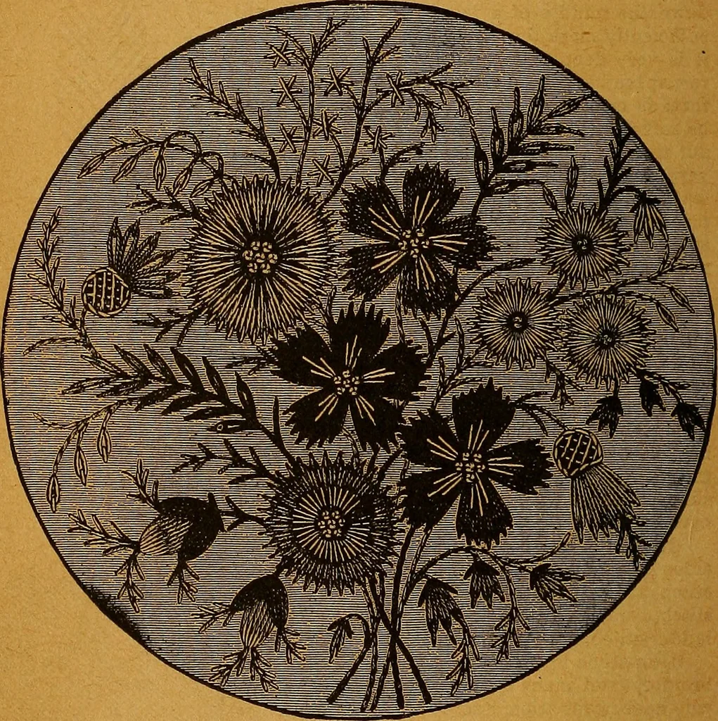 An illustration from The American domestic cyclopædia, a volume of universal ready reference for American women in American homes, 1890, leaf 93