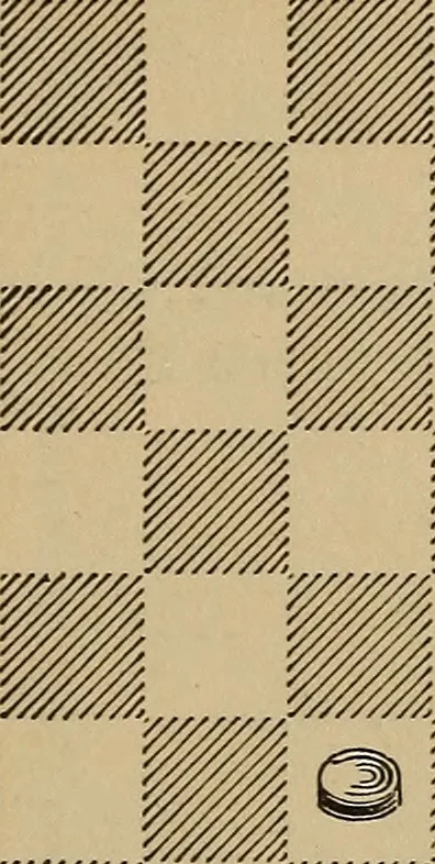 An illustration from The American draught player; or, The theory and practice of the scientific game of checkers;, 1880, leaf 28