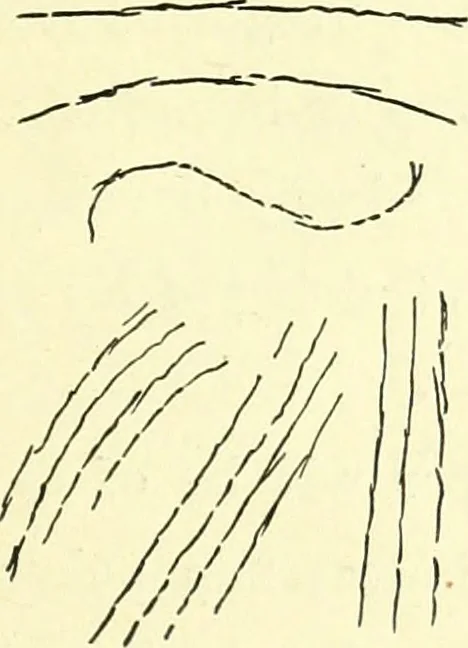 An illustration from The American drawing-book : a manual for the amateur, and basis of study for the professional artist : especially adapted to the use of public and private schools, as well as home instruction, 1847, leaf 22