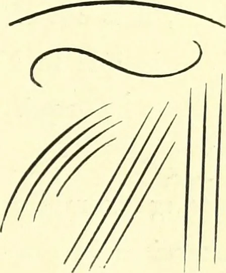 An illustration from The American drawing-book : a manual for the amateur, and basis of study for the professional artist : especially adapted to the use of public and private schools, as well as home instruction, 1847, leaf 22