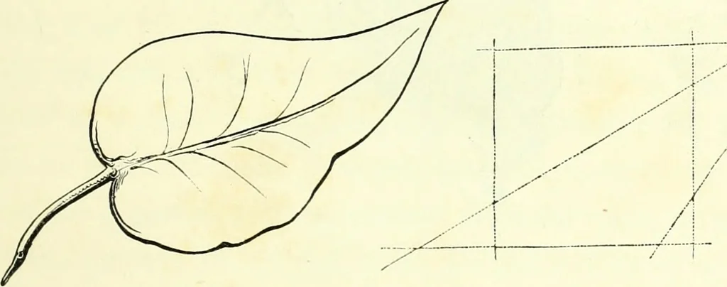 An illustration from The American drawing-book : a manual for the amateur, and basis of study for the professional artist : especially adapted to the use of public and private schools, as well as home instruction, 1847, leaf 30