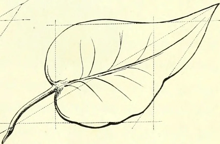 An illustration from The American drawing-book : a manual for the amateur, and basis of study for the professional artist : especially adapted to the use of public and private schools, as well as home instruction, 1847, leaf 30