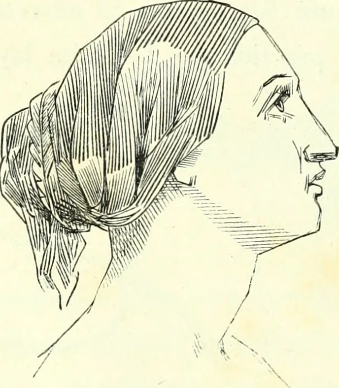 An illustration from The American drawing-book : a manual for the amateur, and basis of study for the professional artist : especially adapted to the use of public and private schools, as well as home instruction, 1847, leaf 31
