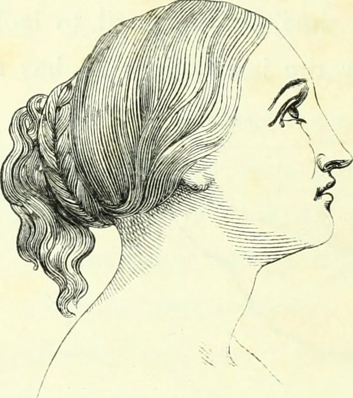 An illustration from The American drawing-book : a manual for the amateur, and basis of study for the professional artist : especially adapted to the use of public and private schools, as well as home instruction, 1847, leaf 31