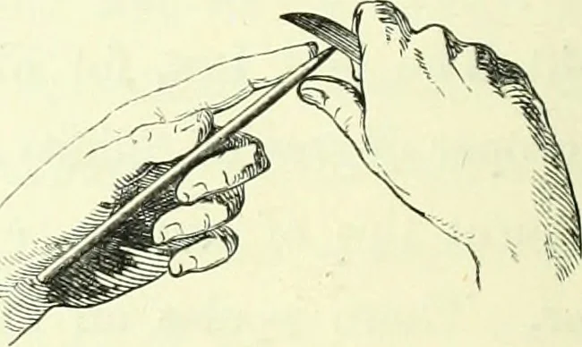 An illustration from The American drawing-book : a manual for the amateur, and basis of study for the professional artist : especially adapted to the use of public and private schools, as well as home instruction, 1847, leaf 35