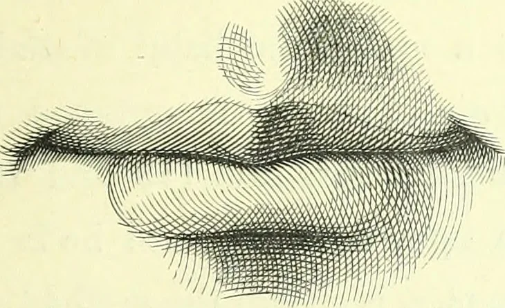 An illustration from The American drawing-book : a manual for the amateur, and basis of study for the professional artist : especially adapted to the use of public and private schools, as well as home instruction, 1847, leaf 40