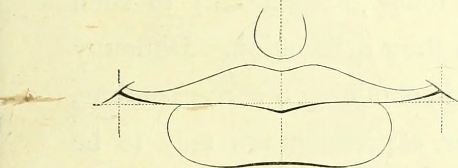 An illustration from The American drawing-book : a manual for the amateur, and basis of study for the professional artist : especially adapted to the use of public and private schools, as well as home instruction, 1847, leaf 40
