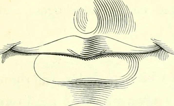 An illustration from The American drawing-book : a manual for the amateur, and basis of study for the professional artist : especially adapted to the use of public and private schools, as well as home instruction, 1847, leaf 41