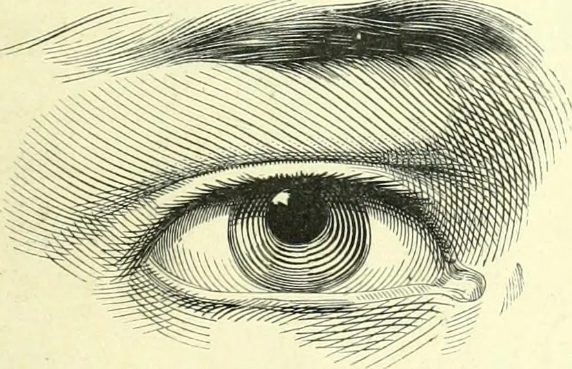 An illustration from The American drawing-book : a manual for the amateur, and basis of study for the professional artist : especially adapted to the use of public and private schools, as well as home instruction, 1847, leaf 42