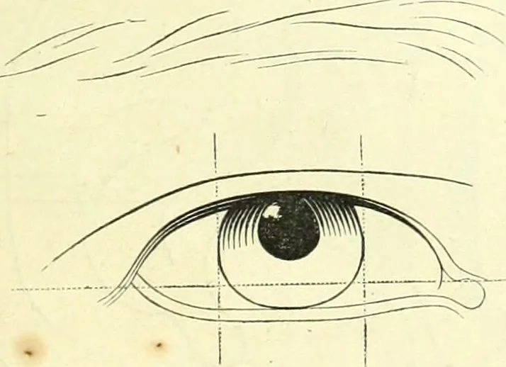 An illustration from The American drawing-book : a manual for the amateur, and basis of study for the professional artist : especially adapted to the use of public and private schools, as well as home instruction, 1847, leaf 42
