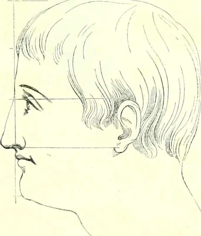 An illustration from The American drawing-book : a manual for the amateur, and basis of study for the professional artist : especially adapted to the use of public and private schools, as well as home instruction, 1847, leaf 45