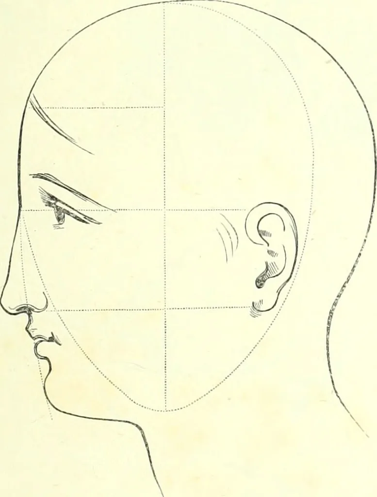 An illustration from The American drawing-book : a manual for the amateur, and basis of study for the professional artist : especially adapted to the use of public and private schools, as well as home instruction, 1847, leaf 46