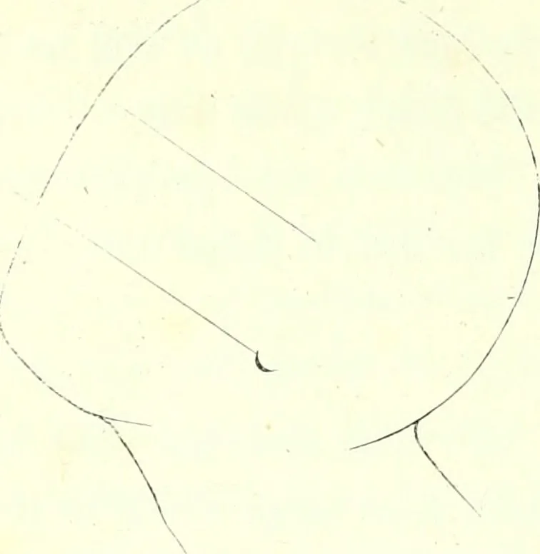 An illustration from The American drawing-book : a manual for the amateur, and basis of study for the professional artist : especially adapted to the use of public and private schools, as well as home instruction, 1847, leaf 47