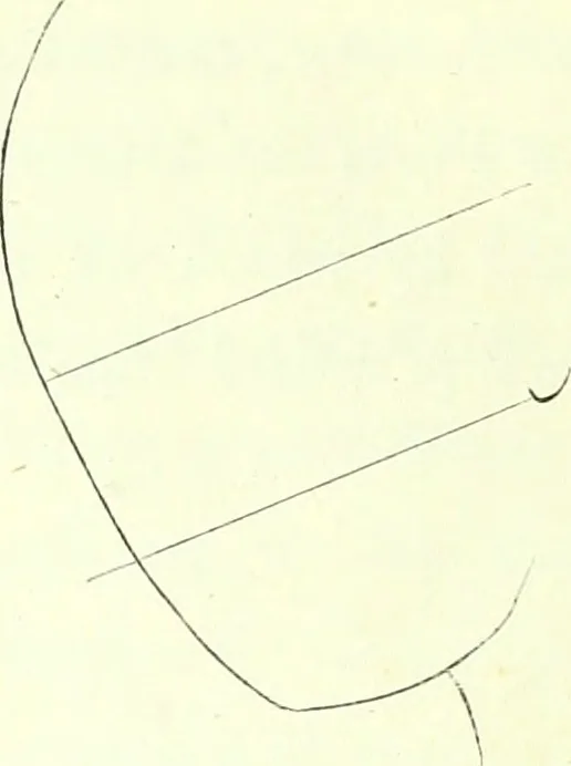 An illustration from The American drawing-book : a manual for the amateur, and basis of study for the professional artist : especially adapted to the use of public and private schools, as well as home instruction, 1847, leaf 47