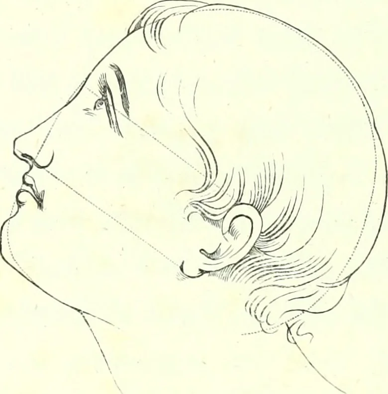 An illustration from The American drawing-book : a manual for the amateur, and basis of study for the professional artist : especially adapted to the use of public and private schools, as well as home instruction, 1847, leaf 47
