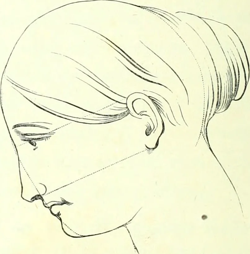 An illustration from The American drawing-book : a manual for the amateur, and basis of study for the professional artist : especially adapted to the use of public and private schools, as well as home instruction, 1847, leaf 47