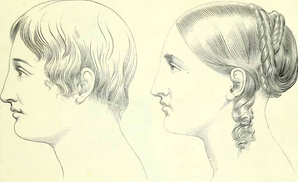 An illustration from The American drawing-book : a manual for the amateur, and basis of study for the professional artist : especially adapted to the use of public and private schools, as well as home instruction, 1847, leaf 48