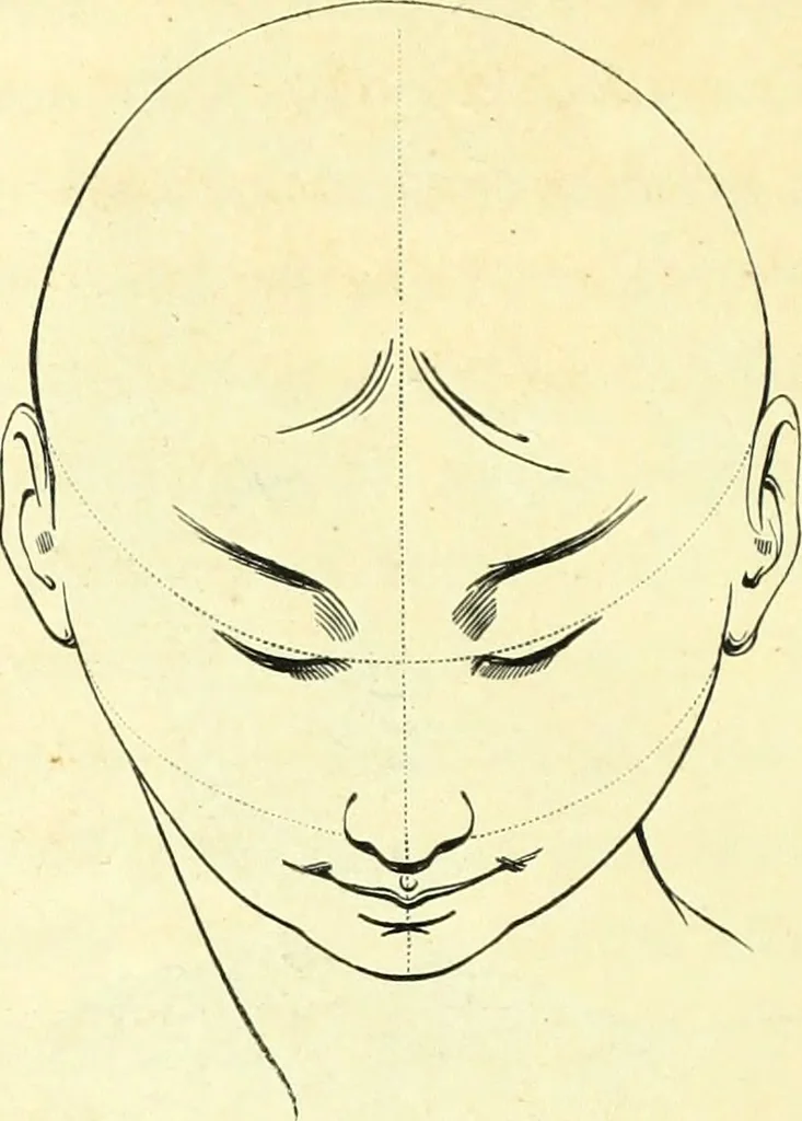 An illustration from The American drawing-book : a manual for the amateur, and basis of study for the professional artist : especially adapted to the use of public and private schools, as well as home instruction, 1847, leaf 53