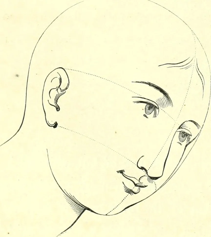 An illustration from The American drawing-book : a manual for the amateur, and basis of study for the professional artist : especially adapted to the use of public and private schools, as well as home instruction, 1847, leaf 55