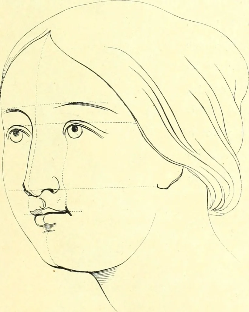 An illustration from The American drawing-book : a manual for the amateur, and basis of study for the professional artist : especially adapted to the use of public and private schools, as well as home instruction, 1847, leaf 56