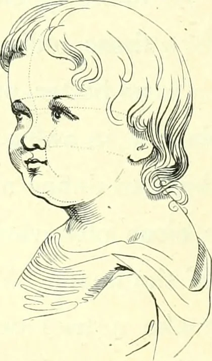 An illustration from The American drawing-book : a manual for the amateur, and basis of study for the professional artist : especially adapted to the use of public and private schools, as well as home instruction, 1847, leaf 57